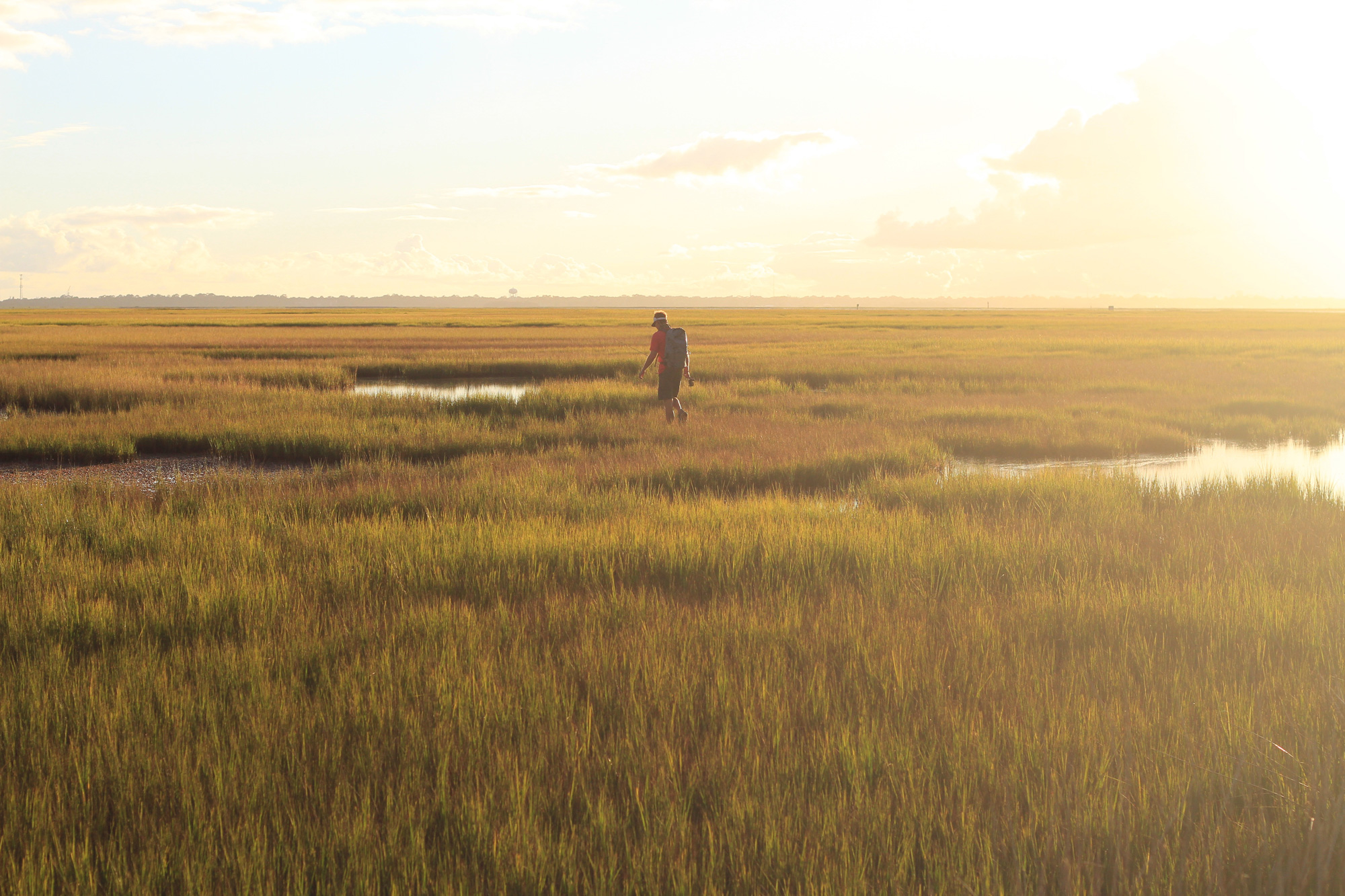 A lone figure walking through a Lowcountry salt marsh at golden hour