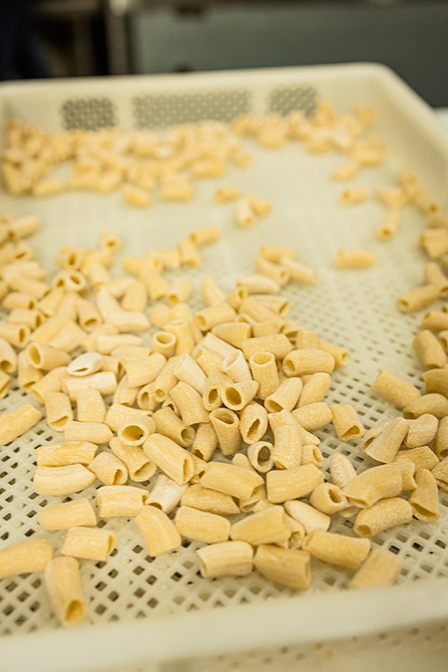 Fresh pasta from FraLi Gourmet