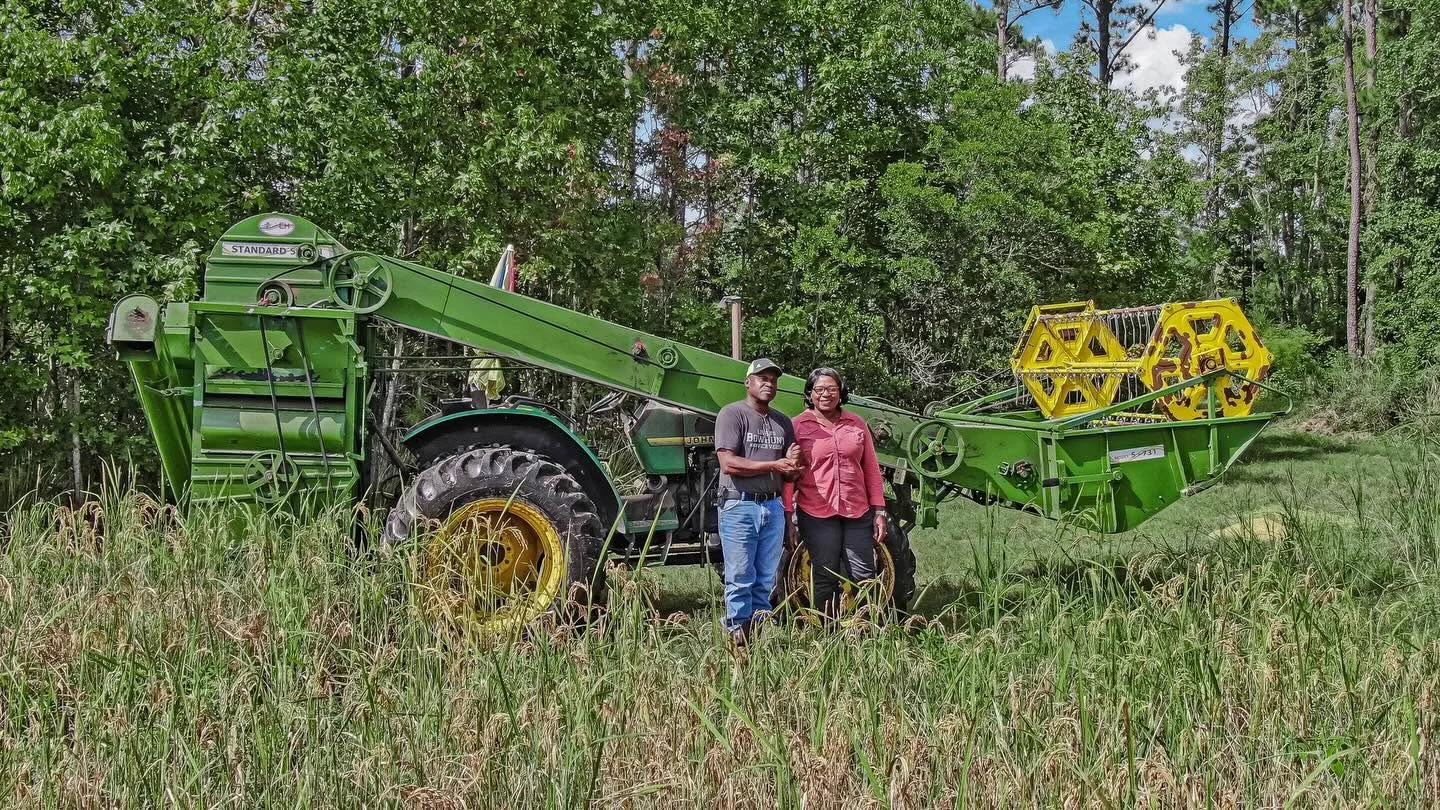 Rollen's RAW Grains
